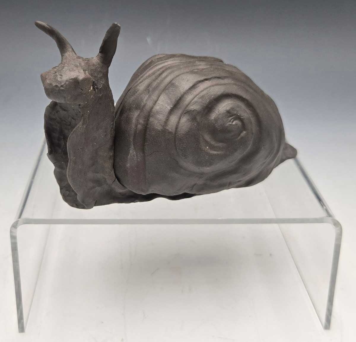 Snail with Removeable Shell