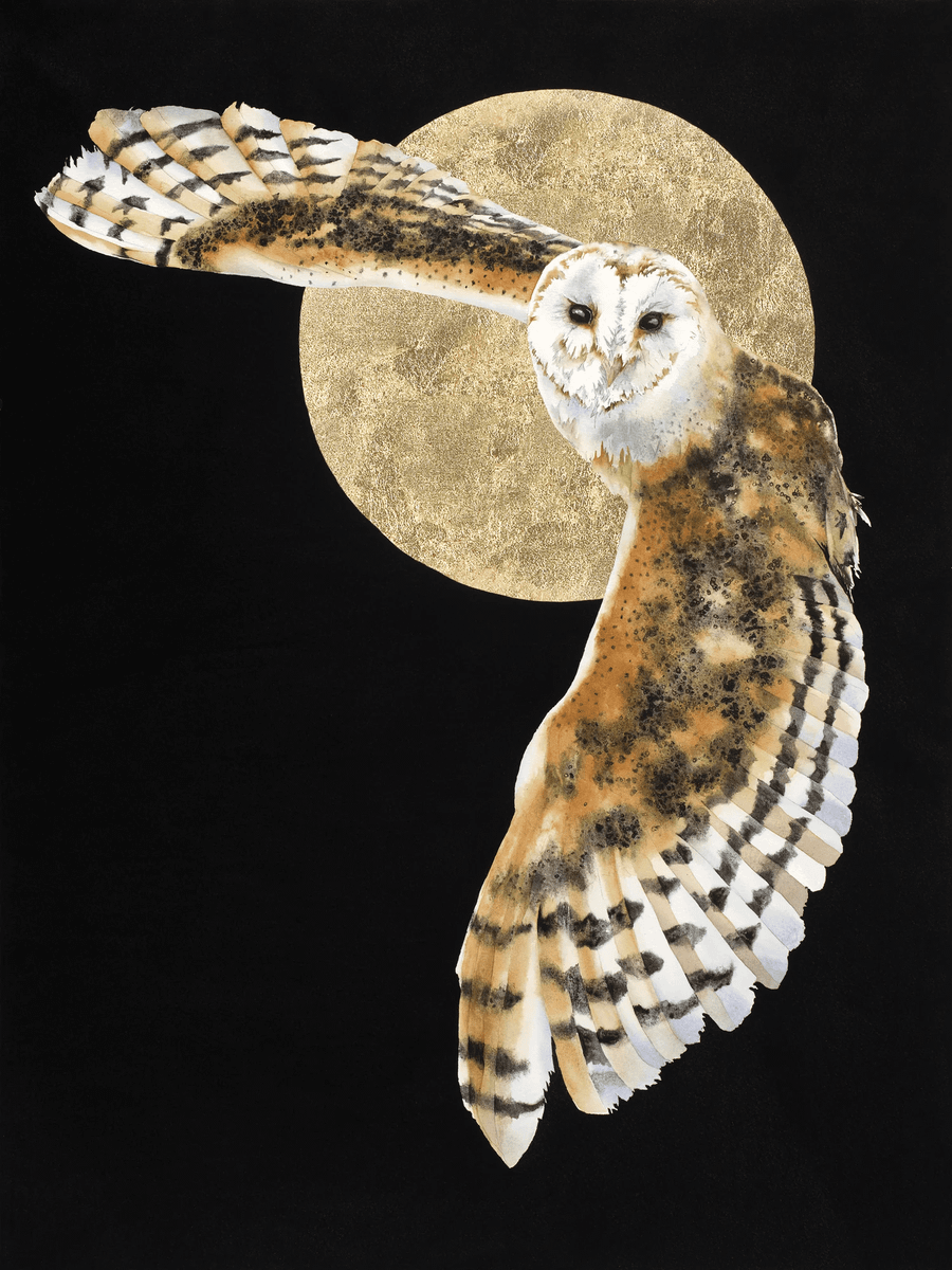 Luna's Flight