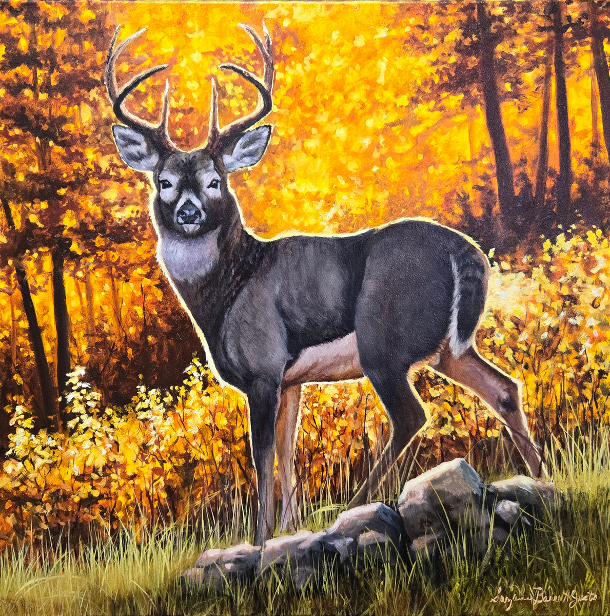 Whitetail Glow