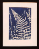 Fern and Grass