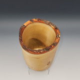 Sassafrass Cup