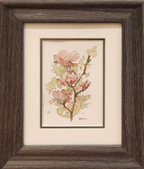 Apple Blossoms