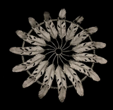 Feather Trivet