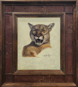 Cougar