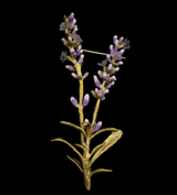 Lavender Brooch