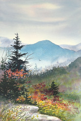 October Symphony - 20 x 16 Gallery Wrap Canvas Giclee