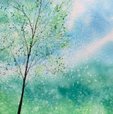 Fresh Air