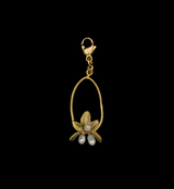 Charm - Flowering Thyme