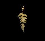 Charm - Fern