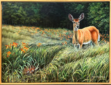 What Lies in the Ditch Lilies