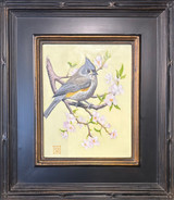 Tufted Titmouse on Apple Blossoms