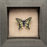 Embroidered Blue/Yellow Butterfly