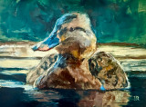 Staying Afloat