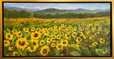 Sunflower Beauties