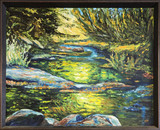 Shady Reflections