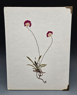 Pressed Flower Wildflower Book- Sea Pink