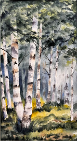 Birch Grove