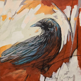 Shy Crow