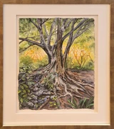 Deeply Rooted