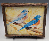 649 - Bluebird Pair C