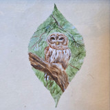 638 - Owl on Leaf