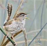 Marsh Song