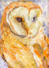 Tyto Alba