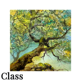 November 21, 2026 - Painting Texture with Watercolor