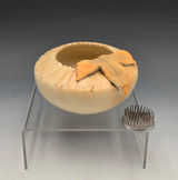 37 Rock-bowl Ikebana