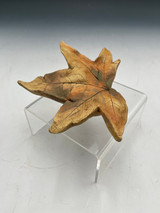 219 - Spirit Leaf, Sweet Gum