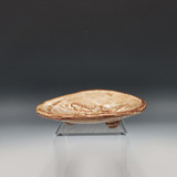 Bee Dish