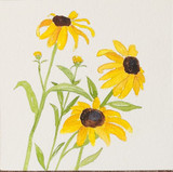 Black-eyed Susan Cradle