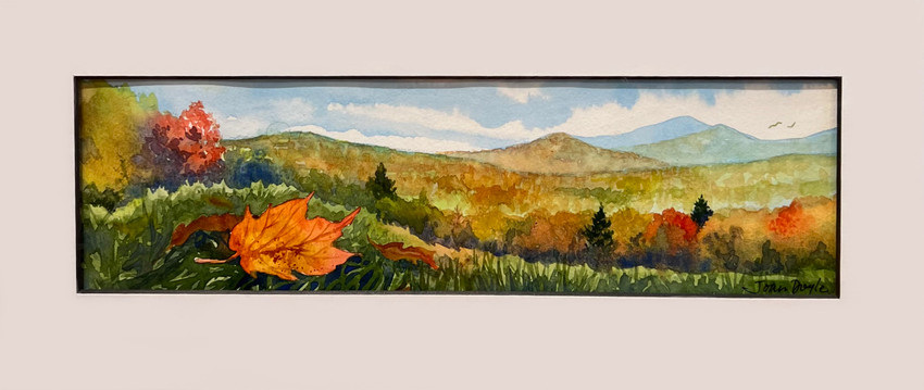 Nature's Art Palette