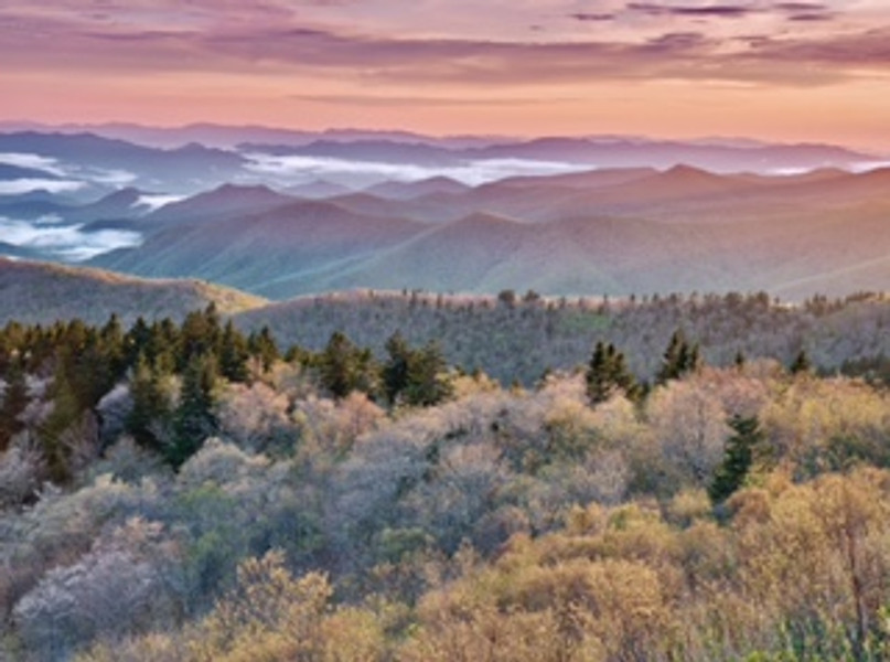 Spring at Cowee