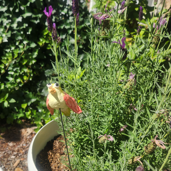 Plant Stake - Songbird