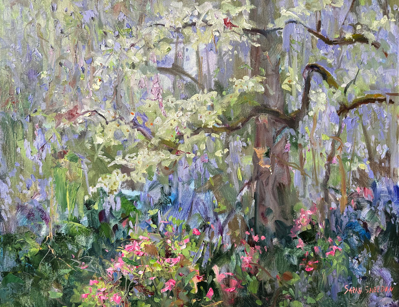 Wisteria and Azaleas