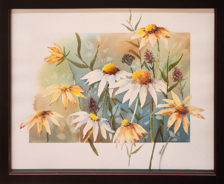 Daisies