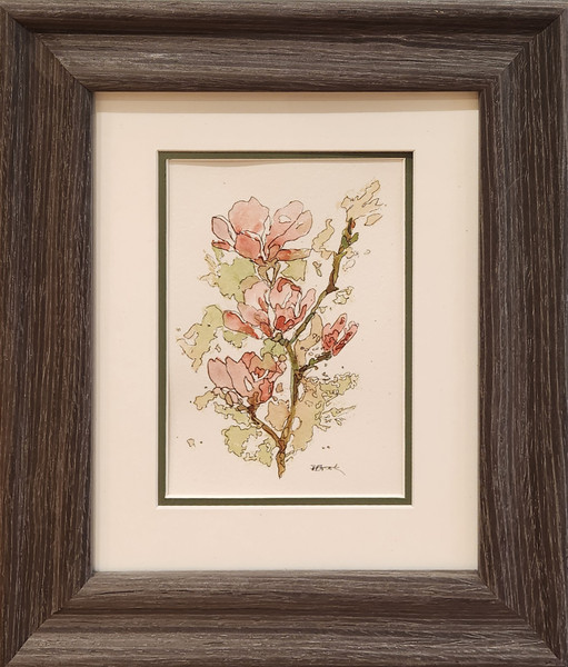 Apple Blossoms