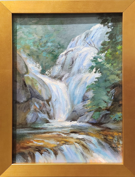 Connestee Falls (Brevard)