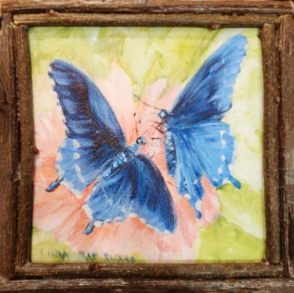 2 Butterflies