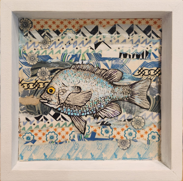 Fish Collage
