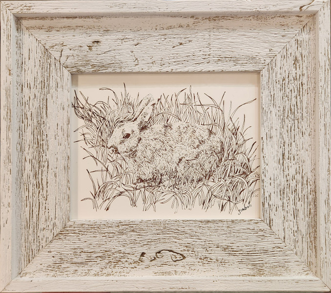 Camouflaged/Hide and Seek