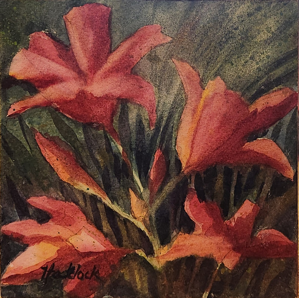 Day Lilies