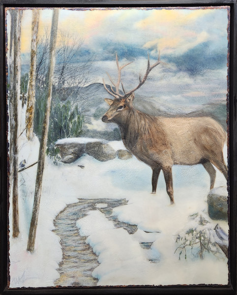 Off Trail Enchantment