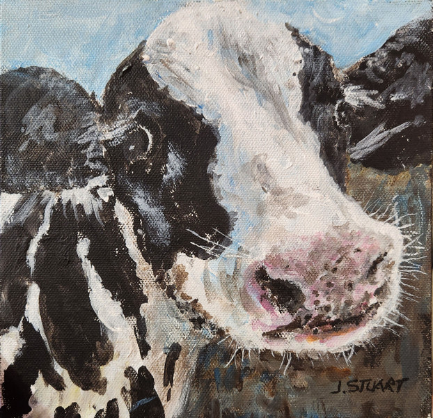 Holy Cow!