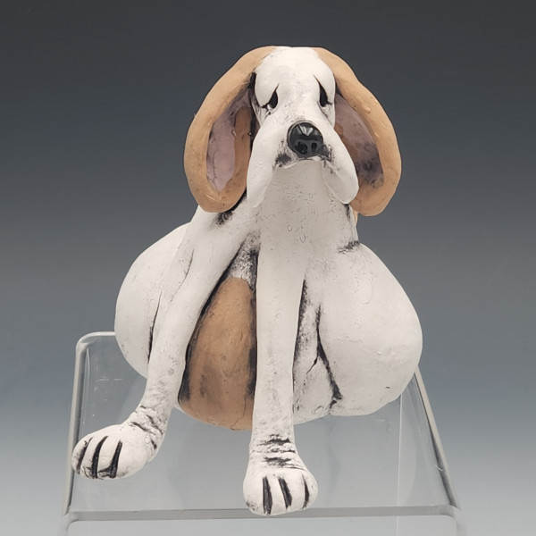 Tan & White Hound 2