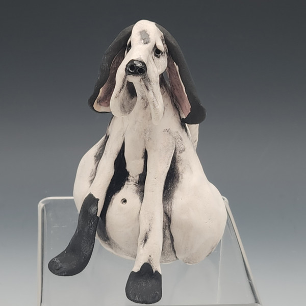 Black & White Hound 2