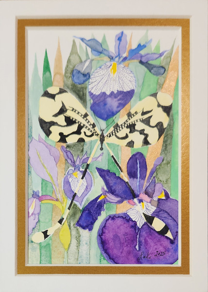 Blue Flag Iris & Lace Wing