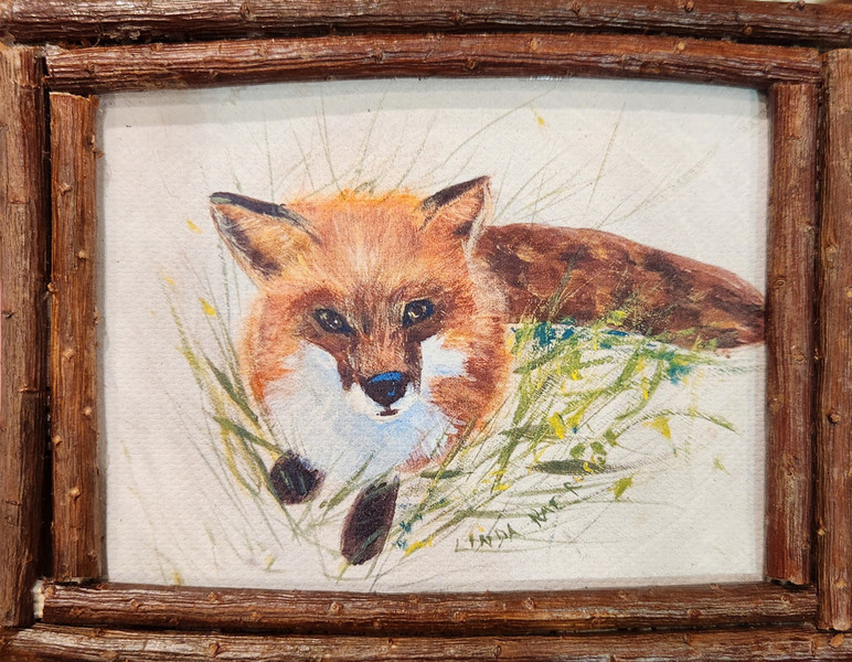 Fox - 559