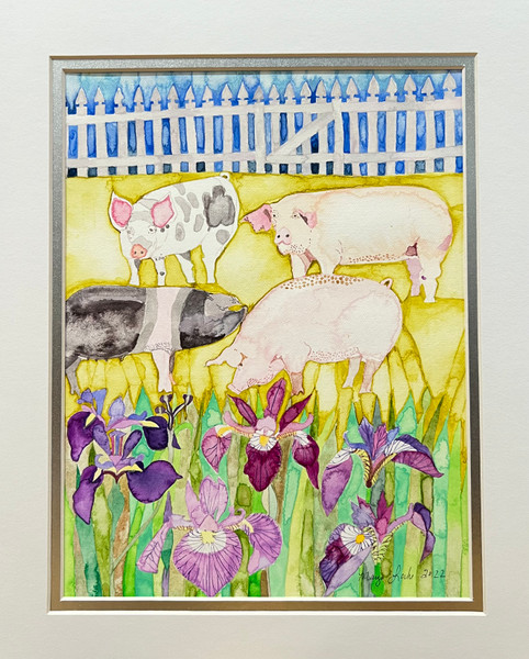 Pigs Bordered by Blue Flag Iris